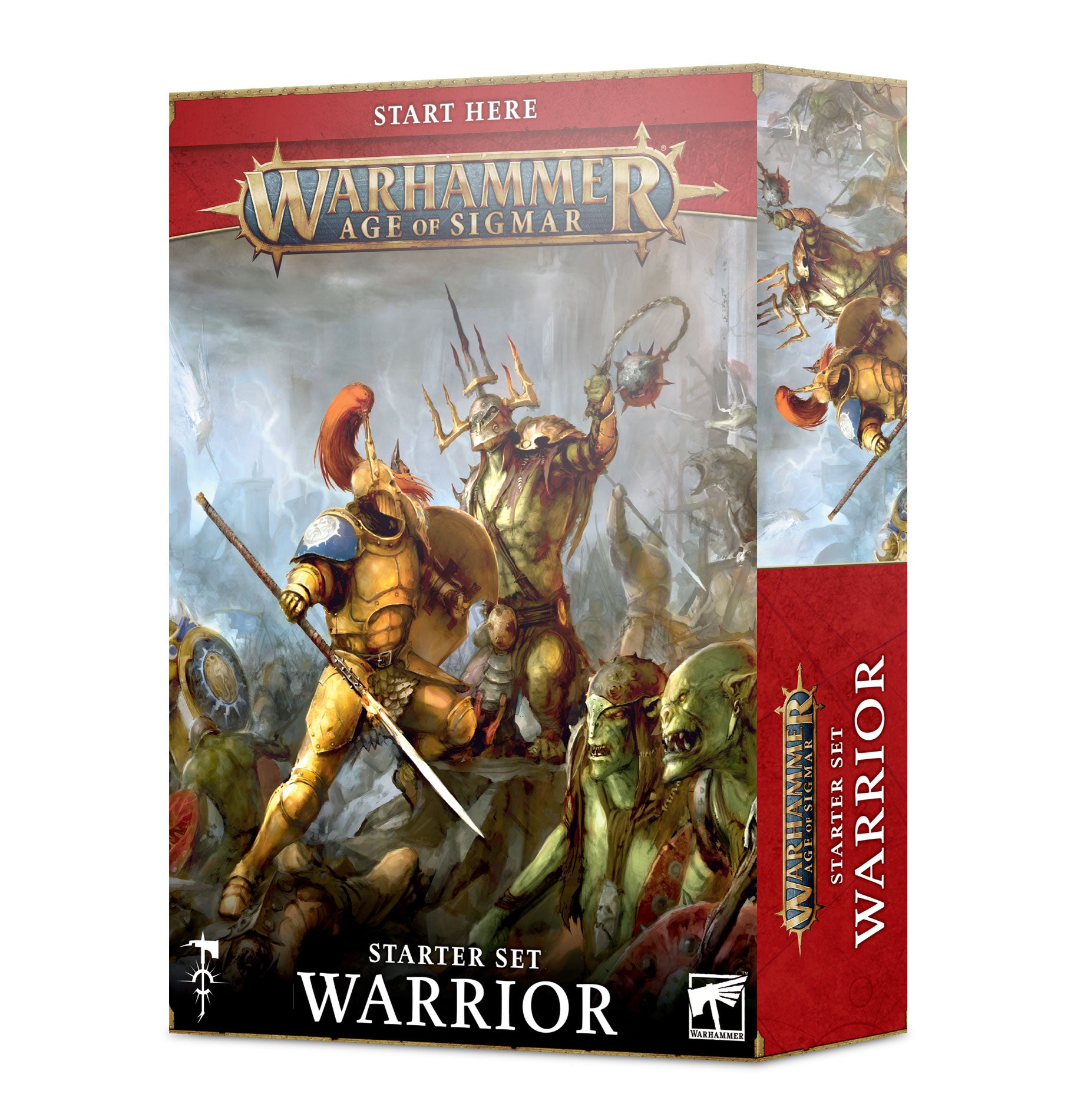 80-15 Age of Sigmar Warrior