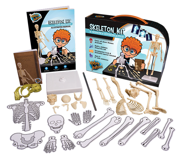 Mini Skeleton Kit HJ4204 – Leading Edge Electronics Leongatha