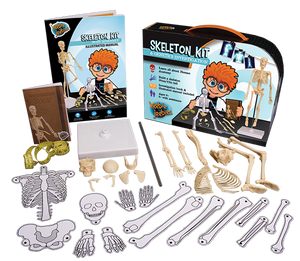 Mini Skeleton Kit HJ4204