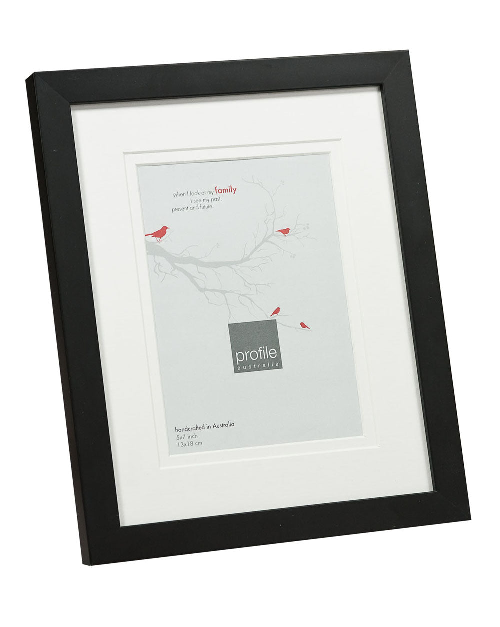 10420 Deluxe Black Double matted Photo Frame